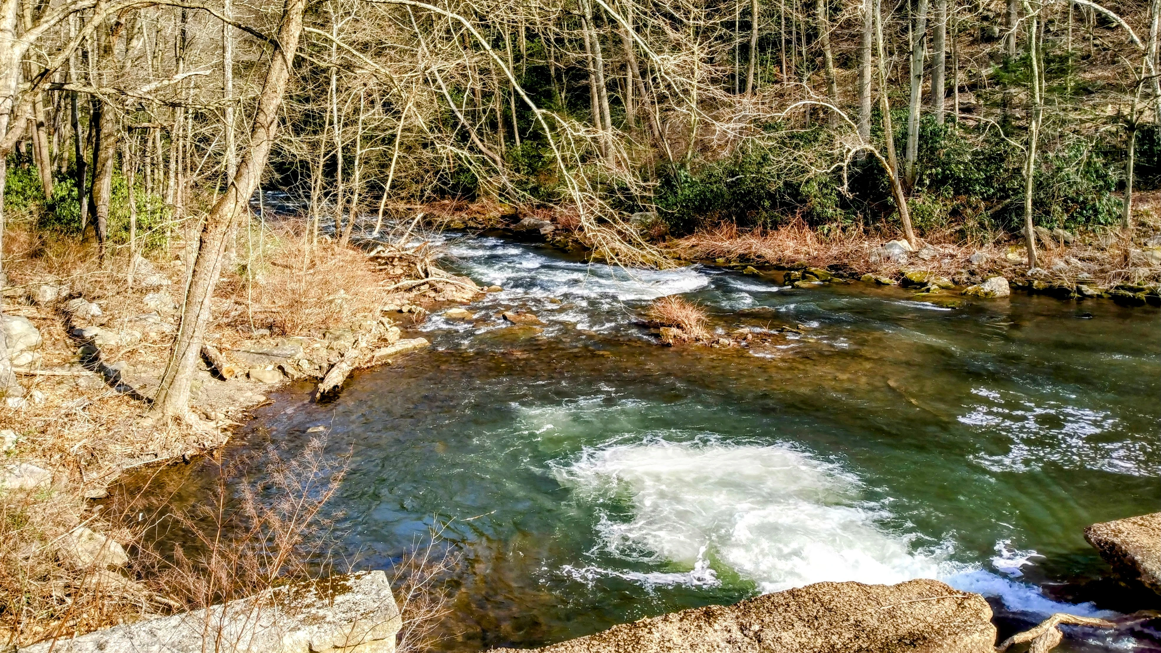 Cold shaded stream in Maryland