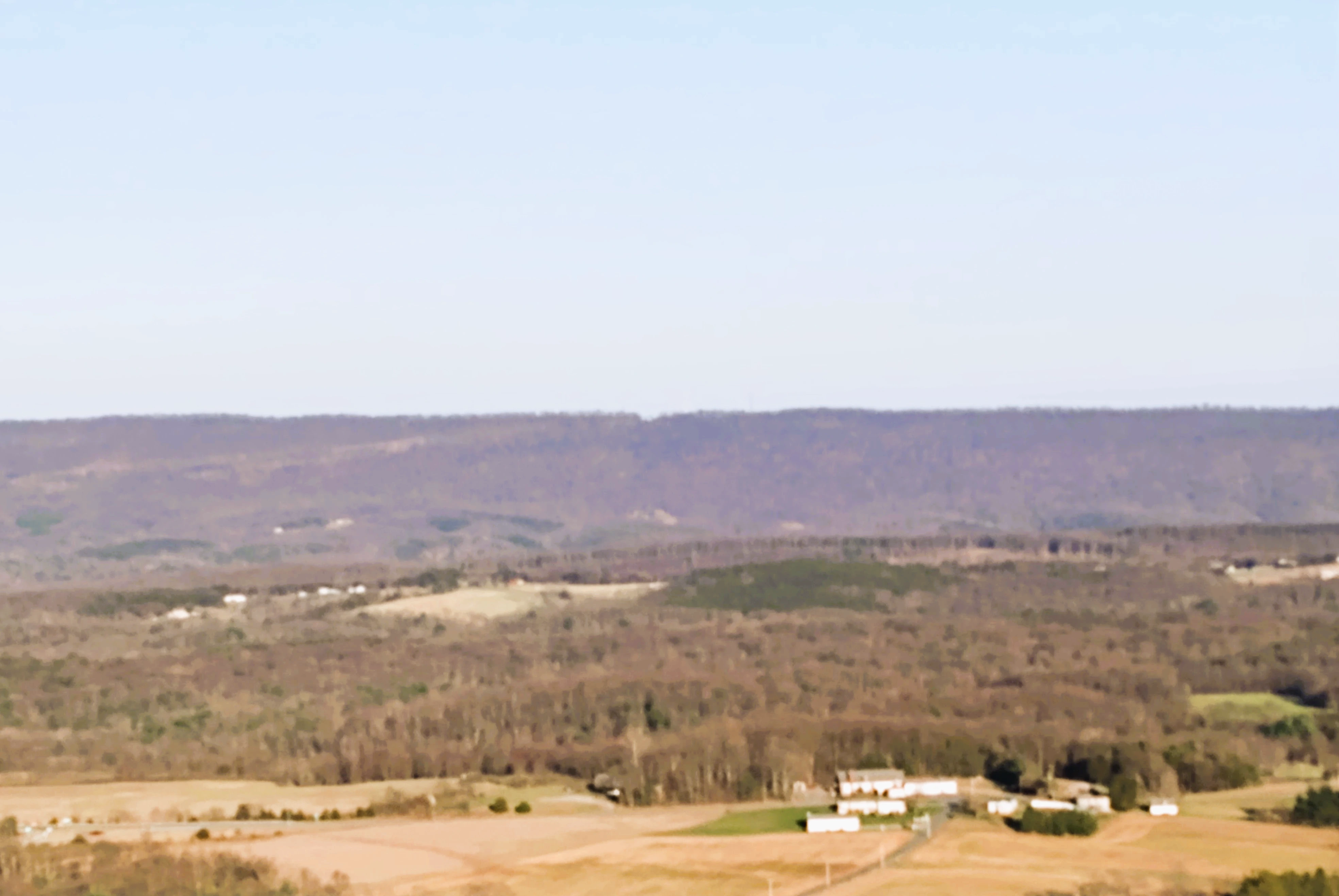 Meadow and forest edge in Western Maryland