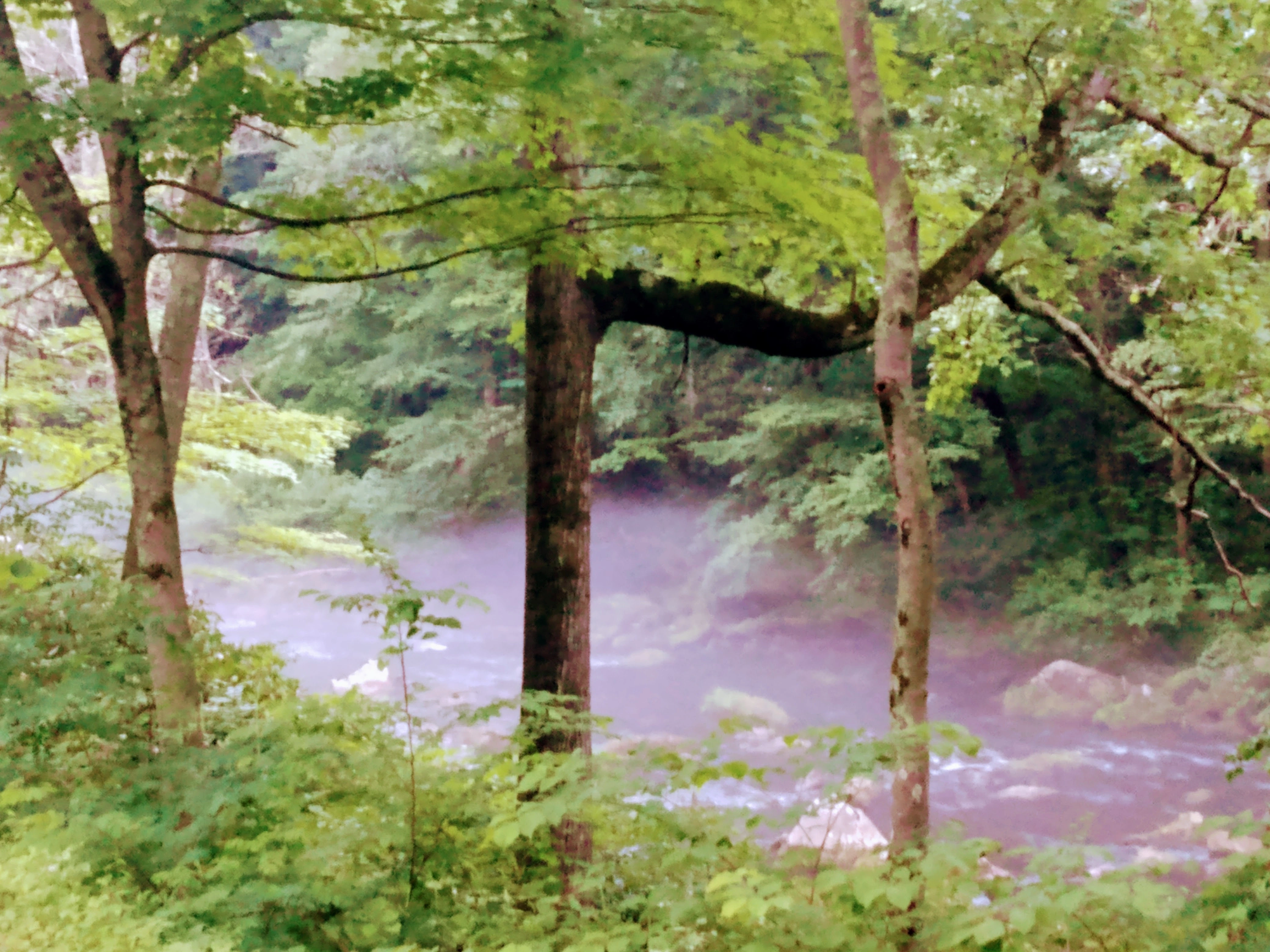 Cold stream or river corridor in Western Maryland