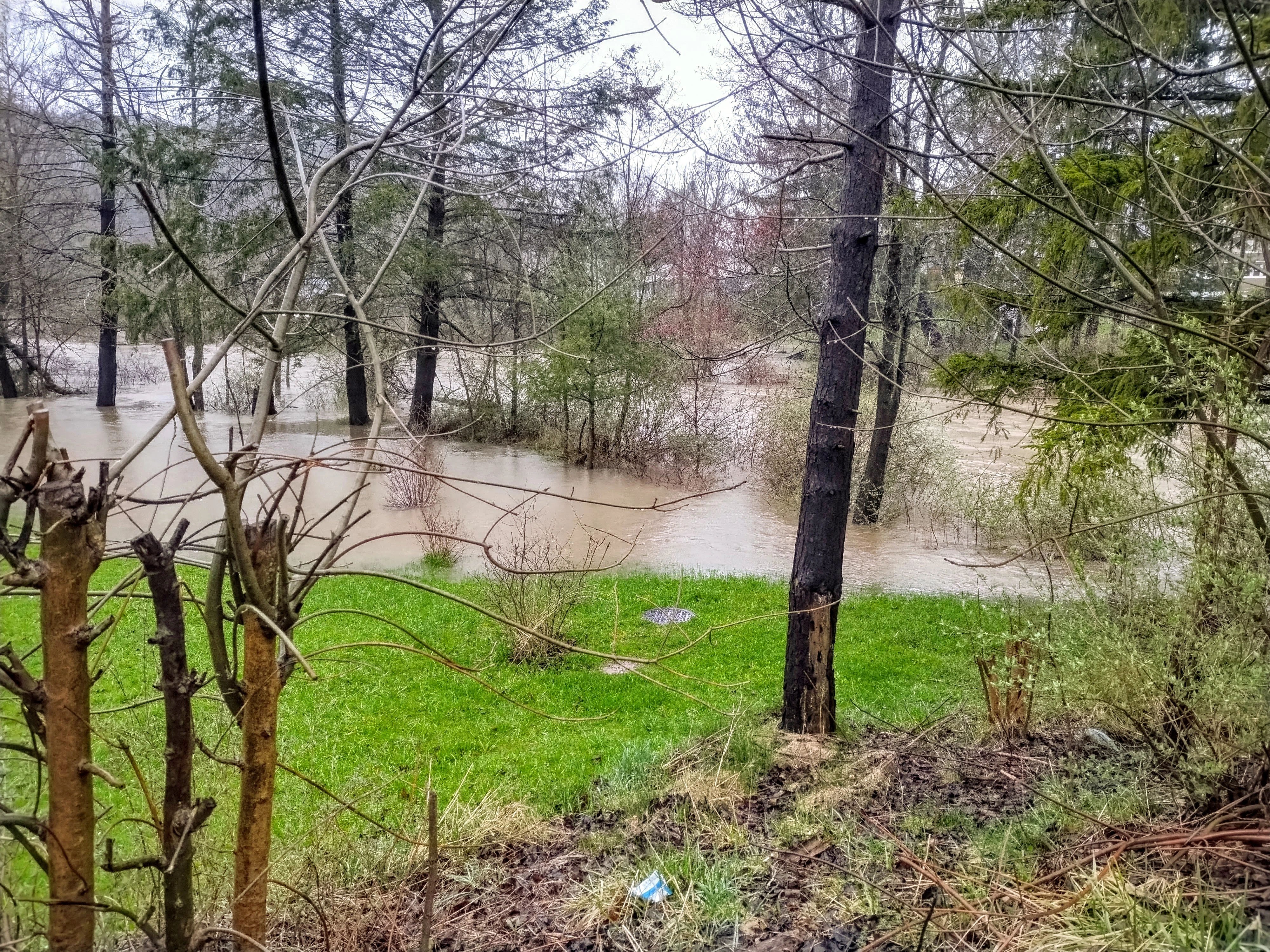 Wetland habitat in Western Maryland