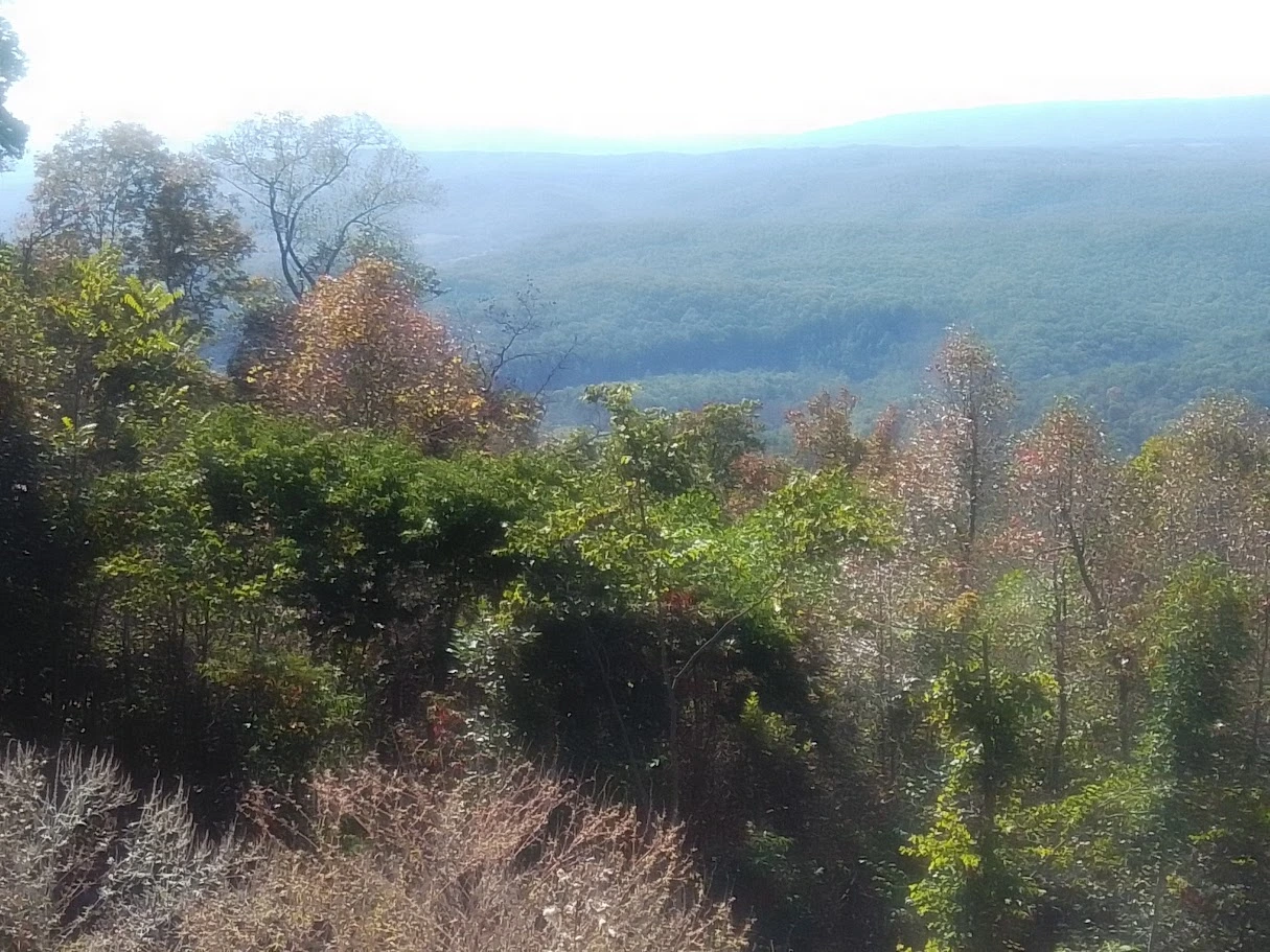 Layered Maryland ridges and mixed forest