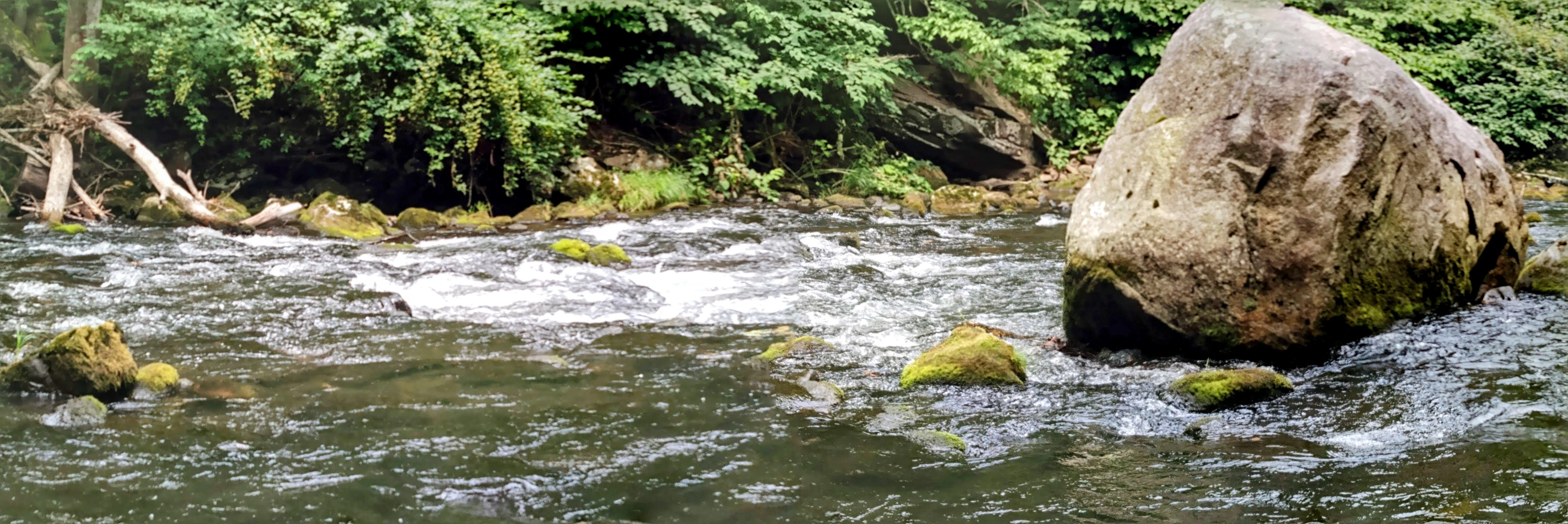 Savage River Corridor