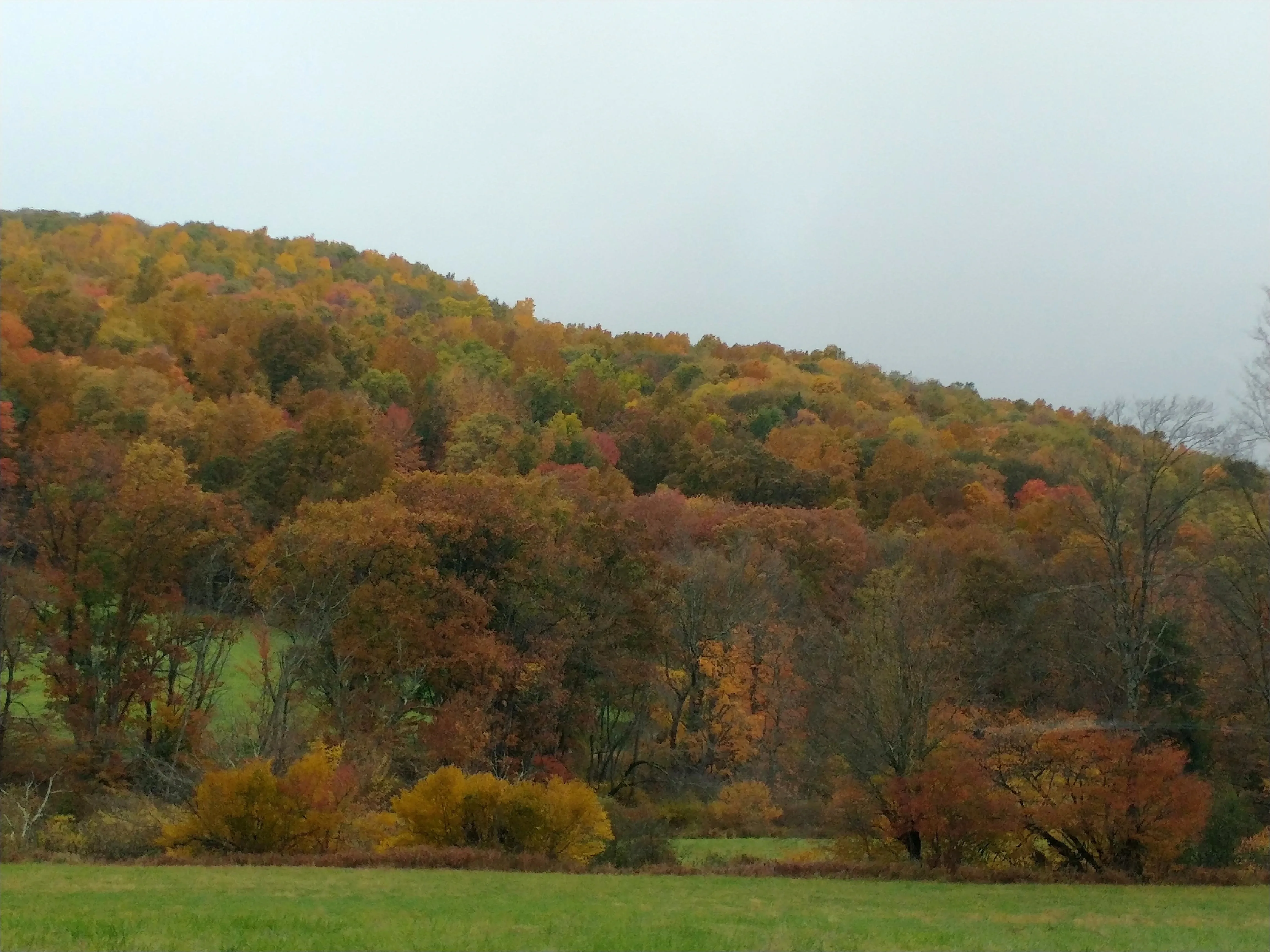 Maryland wildlife by region