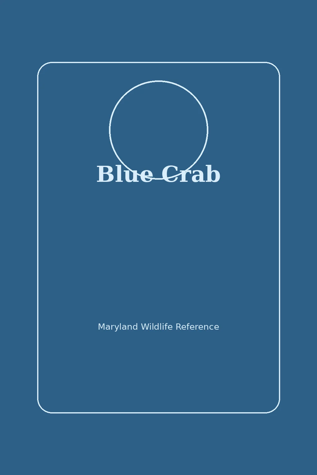 Blue Crab in Maryland
