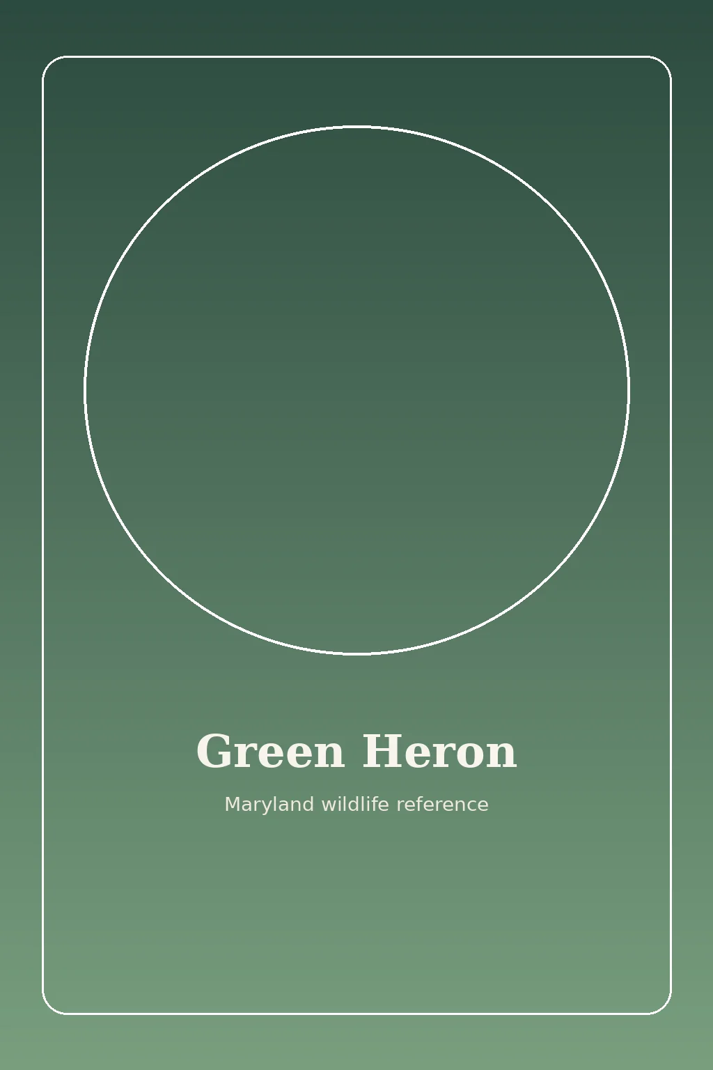 Maryland wildlife by habitat