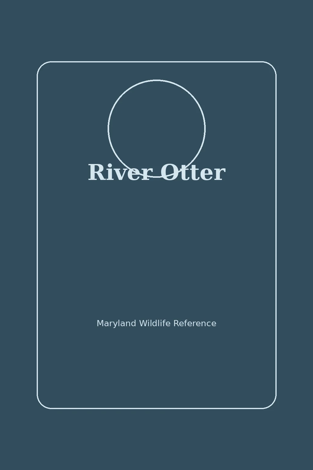 River Otter in Maryland